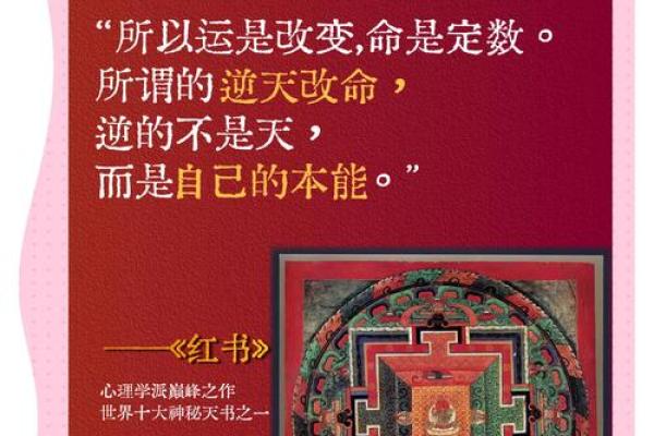 通过出生日揭秘命运密码，了解你的生命之旅！