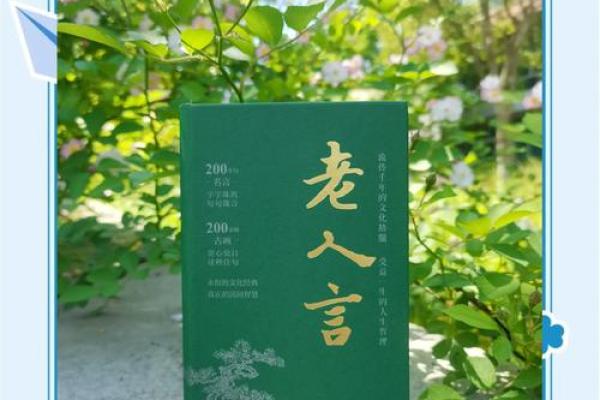 珍惜生命：老人们的智慧与人生哲学