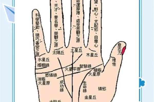 2023木命解析：智慧与成长的象征，如何掌控命运之木？