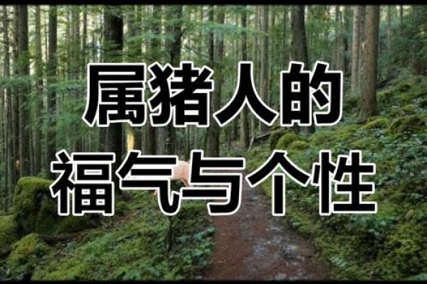 14岁属猪的命运揭秘：生命的转折与成长之路