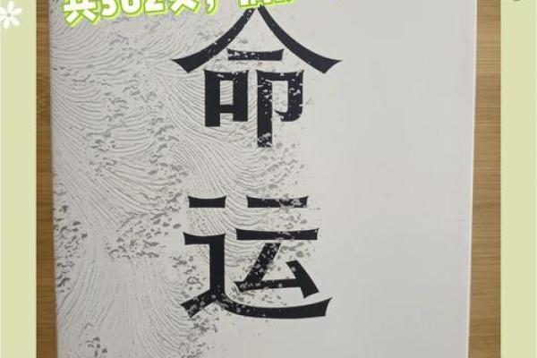 1994年12月16日的命运转折：如何在关键时刻把握人生机遇