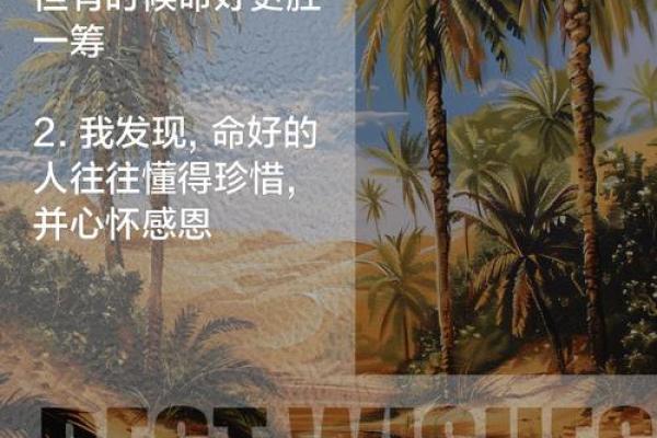 可以信命又不能相信命：探索命运与选择的奇妙关系