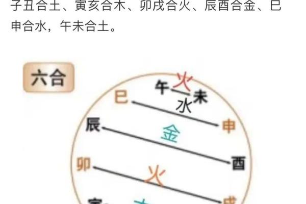 探秘地支八合:命理中的神秘力量与影响 探秘地支八合:命理中的神秘力量与影响