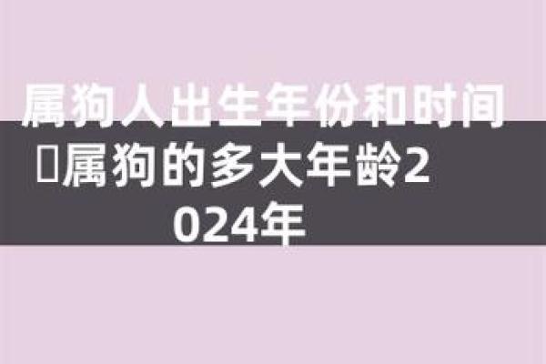 属狗的命理揭秘：属狗人的十种命理分析与运势展望