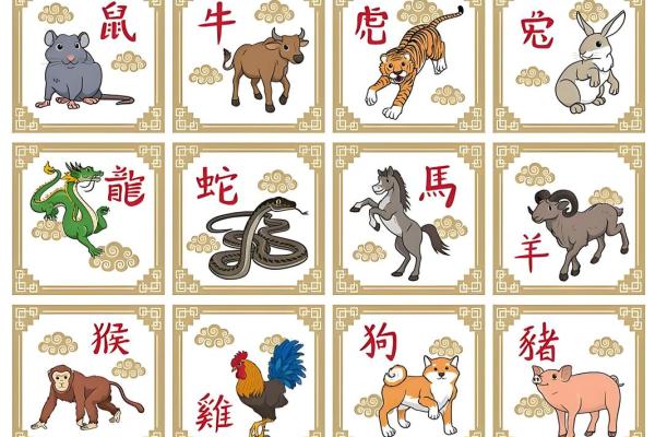 1996年正月27日出生的人命理解析与未来运势展望
