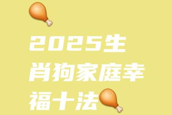 属狗人51岁的命运解析：揭开生活的神秘面纱