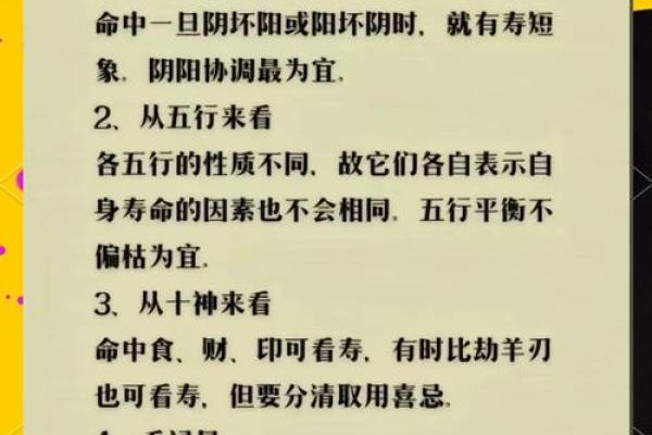 1994年出生的人命理解析：探寻你的命运与性格特征