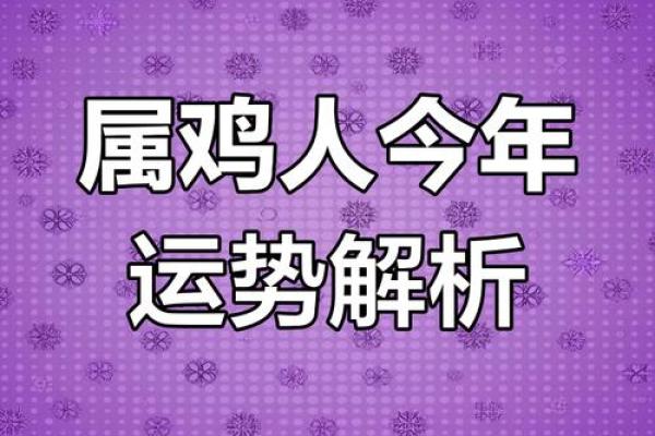 探索41属鸡之人的命运与运势