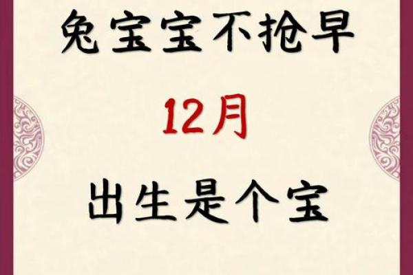 2024兔宝宝命运解析：性格特征与人生方向剖析