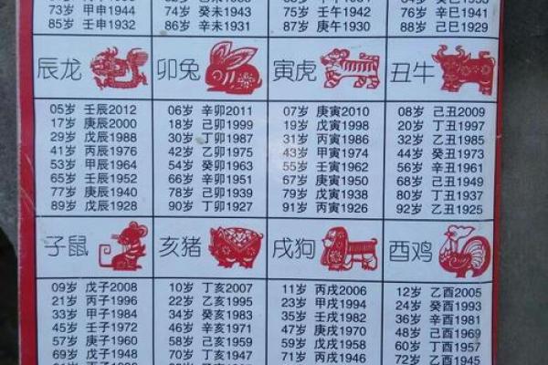 1963年出生的人：属于什么命运的探索与解析