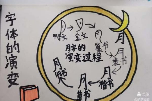 探寻“命”字的多重读音与深刻意蕴：生命、命运、命题的奇妙世界