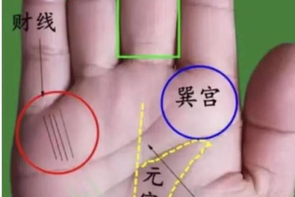 揭开手掌之谜：女孩手掌的命运与运势探讨