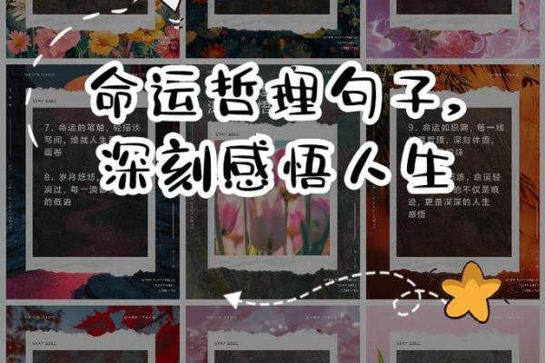 命运掌握在自己手中，幸福由心而生的哲理