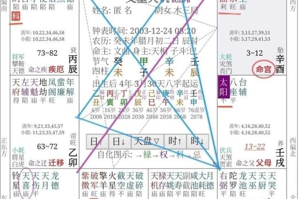 甲辰月出生的人命运解析：探索命理背后的秘密与智慧