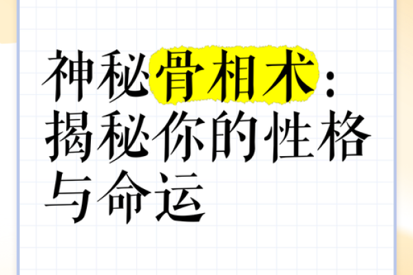 命骨的重量：揭秘命运与人生的神秘联系