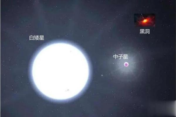 1973年出生的人：走进生命之旅的命运解析