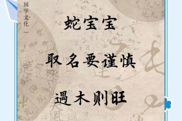 探索木命蛇的最佳居住楼层，提升生活品质的秘密