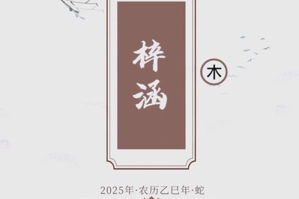 探索木命蛇的最佳居住楼层，提升生活品质的秘密