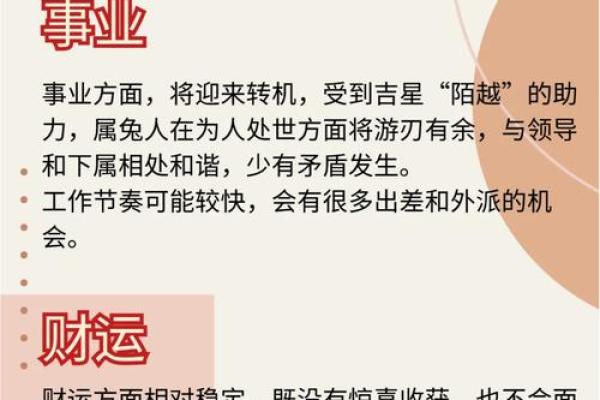 属兔之人的命运解析：温柔与智慧的结合之道