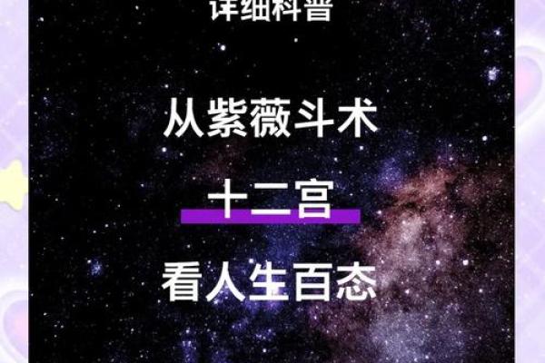 揭开紫薇高级命格的神秘面纱，掌握命运之钥！