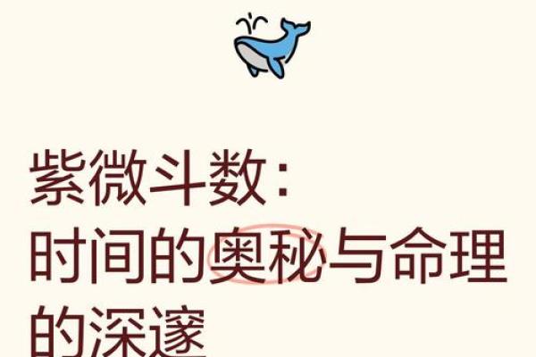 揭开紫薇高级命格的神秘面纱，掌握命运之钥！