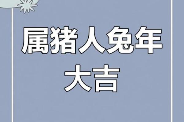 2023年：属猪人41岁的人生转折与命格解析