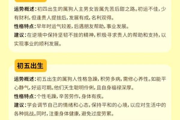 64岁属狗的命运解析：如何运用人生智慧获得幸福与成功