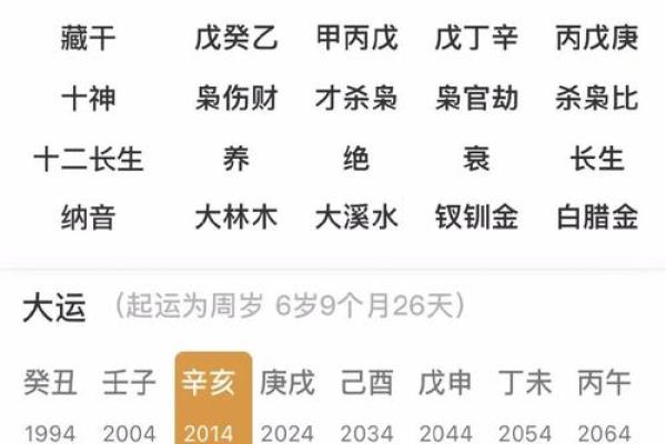 庚戌地支命局解析：深入了解这个独特的命理特征