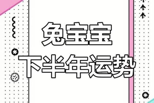 2011年属兔人的命运与运势解读，开启新篇章！