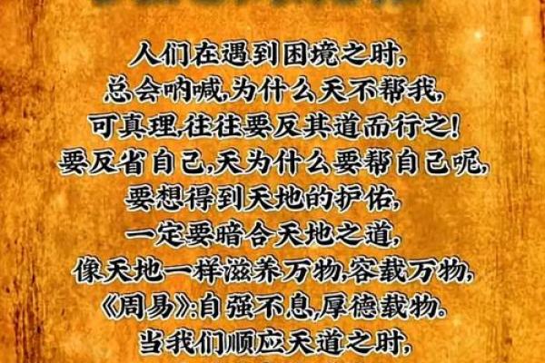 遇见财富之路，成语接龙探秘人生智慧