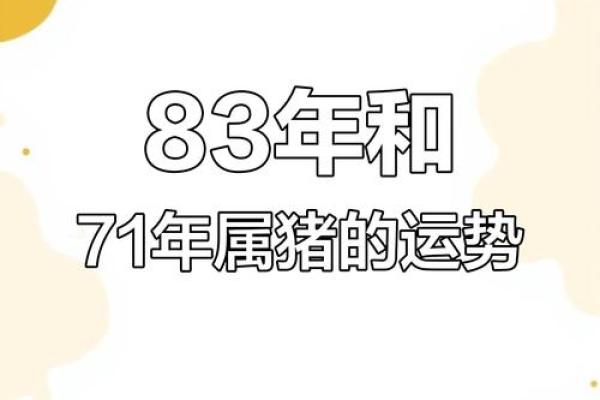 属猪1983年男性的命运解析与人生智慧