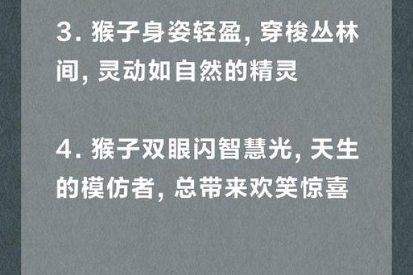 10月出生的猴子命理解析：智慧与灵动的完美结合