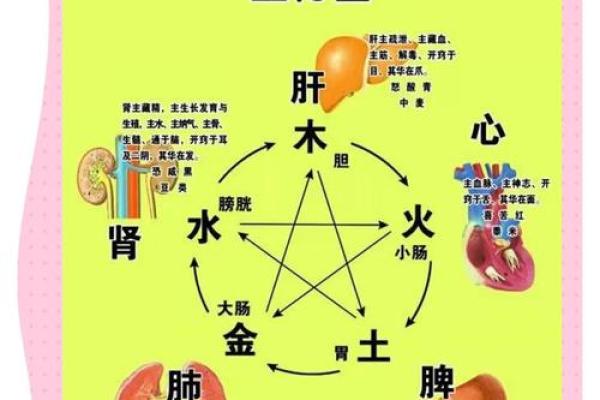 农历十五出生男孩命运解析：五行与性格的奥秘