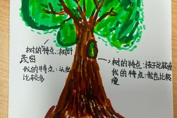 11岁孩子的命运与成长：探索生命的奇妙旅程