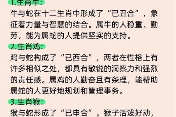 1988年：是什么命年？解密生肖与命运之路！