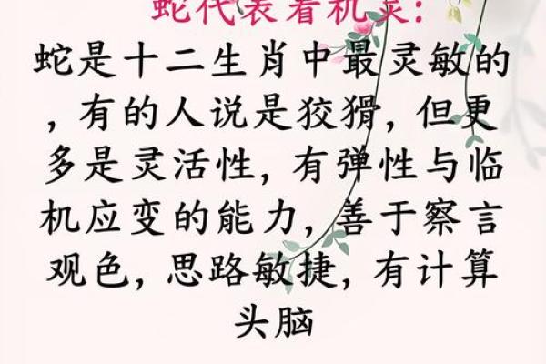 33岁属小蛇的命运解析：智慧与机遇的交织之路