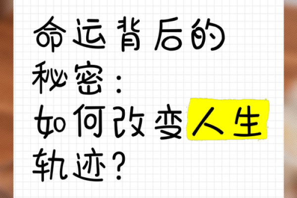 胎元：揭秘命运的秘密与人生轨迹的奥秘