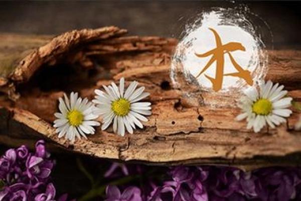 72年桑柘木命与哪些命理最为相配，助你事业生活双丰收！