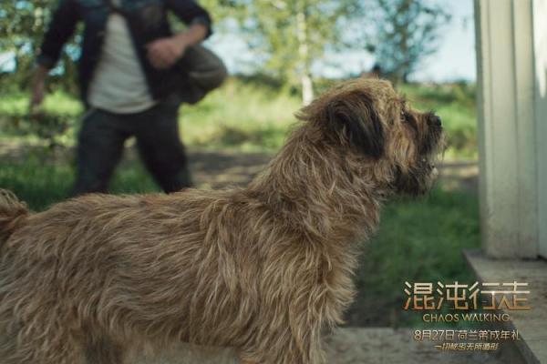 《盗命兄弟：命运的逆转与兄弟情深》