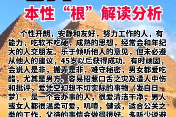 搬家运势与命理：探寻总搬家者的命运密码