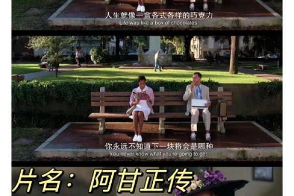 1993年3月出生的人：独特的命运与精彩的人生之旅