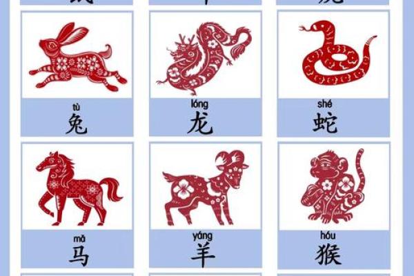 两命七七：揭示2023年生肖的奥秘与魅力