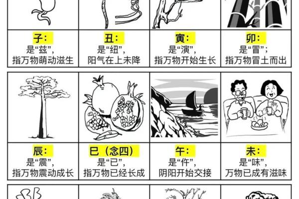探秘地支丙：火焰中的热情与智慧解析