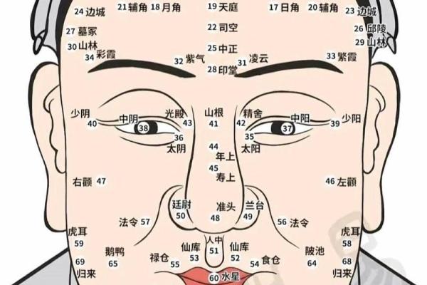 旺夫命面的面相解析：如何通过面相理解旺夫命的特征
