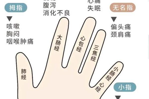 小米指头短的人命运解析：深藏在手指里的秘密