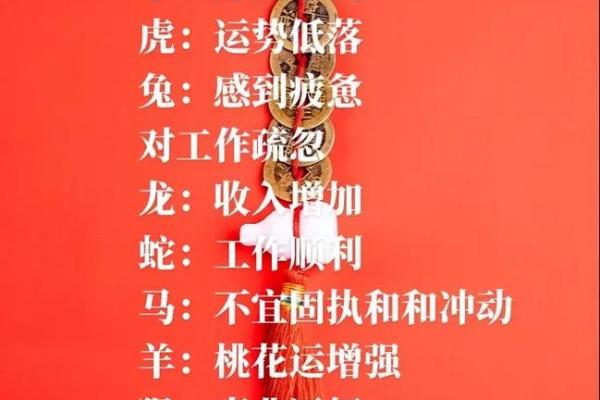 探秘81属什么生肖的命理与人生智慧之旅