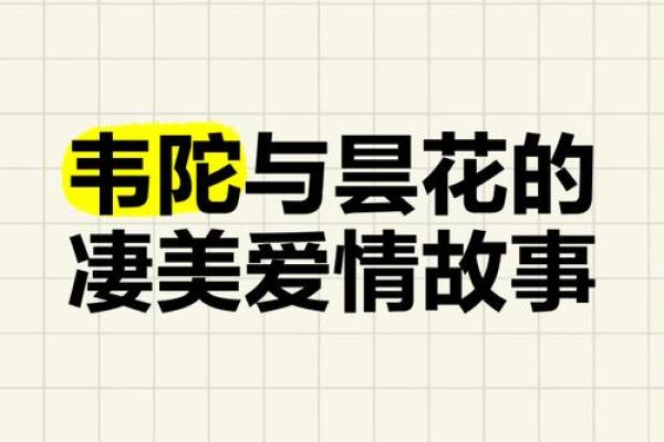 揭示昙花命的真相：如何分辨生命的奇特瞬间与短暂美丽