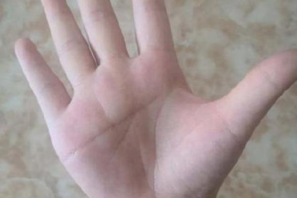 女士左手假断掌的命运解析：揭示秘密与魅力的手相学