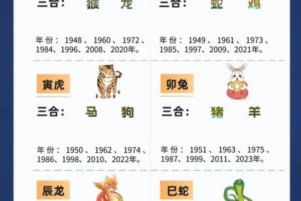癸亥水命与生肖的神秘关联：深度解析