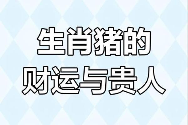 2007年属猪的人命运解析：如何把握人生机遇与挑战